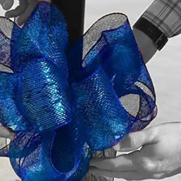 A Bow Ribbon