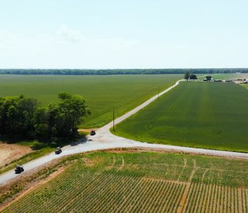 A Large Green Field With Trees In The Background